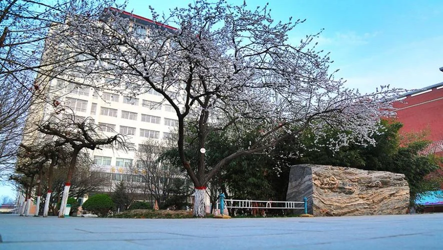保定市第四职业中学-保定市第四职业中学