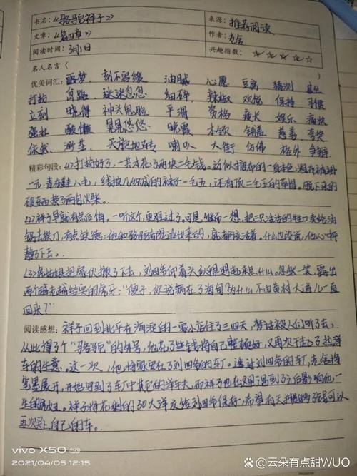 骆驼祥子读后感10字-骆驼祥子读后感