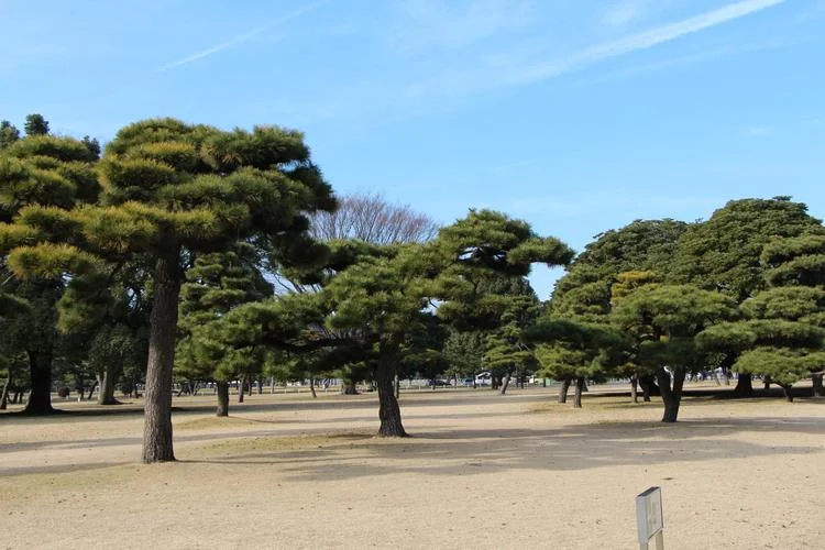 名古屋去大阪多少公里_1