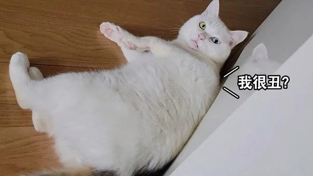 梦见网友很丑_1