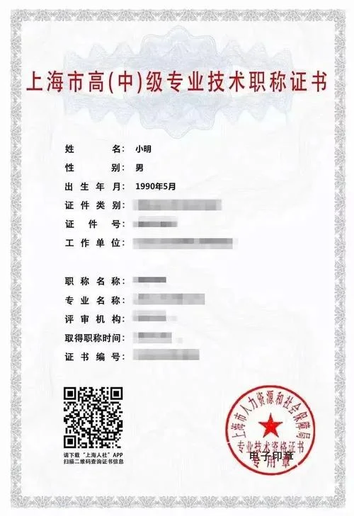 全国职称证书查询网站-全国职称证书查询站