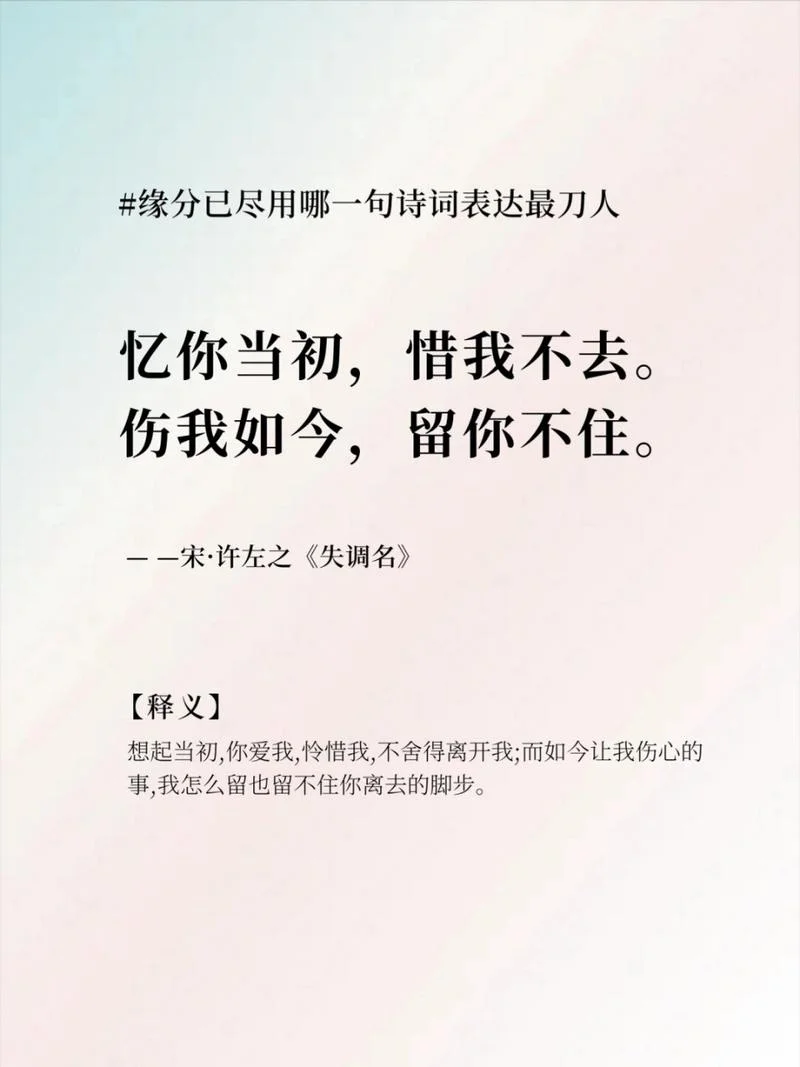 你我本无缘下一句什么_2