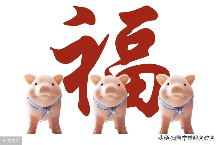猪年起名男孩_2