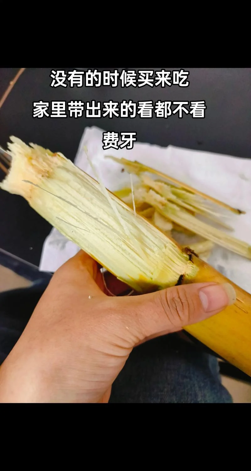 梦见别人吃甘蔗是什么预兆-梦见他人食蔗的寓意