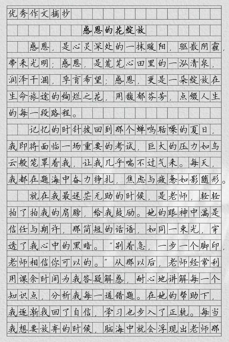 在感恩中成长的感悟_2