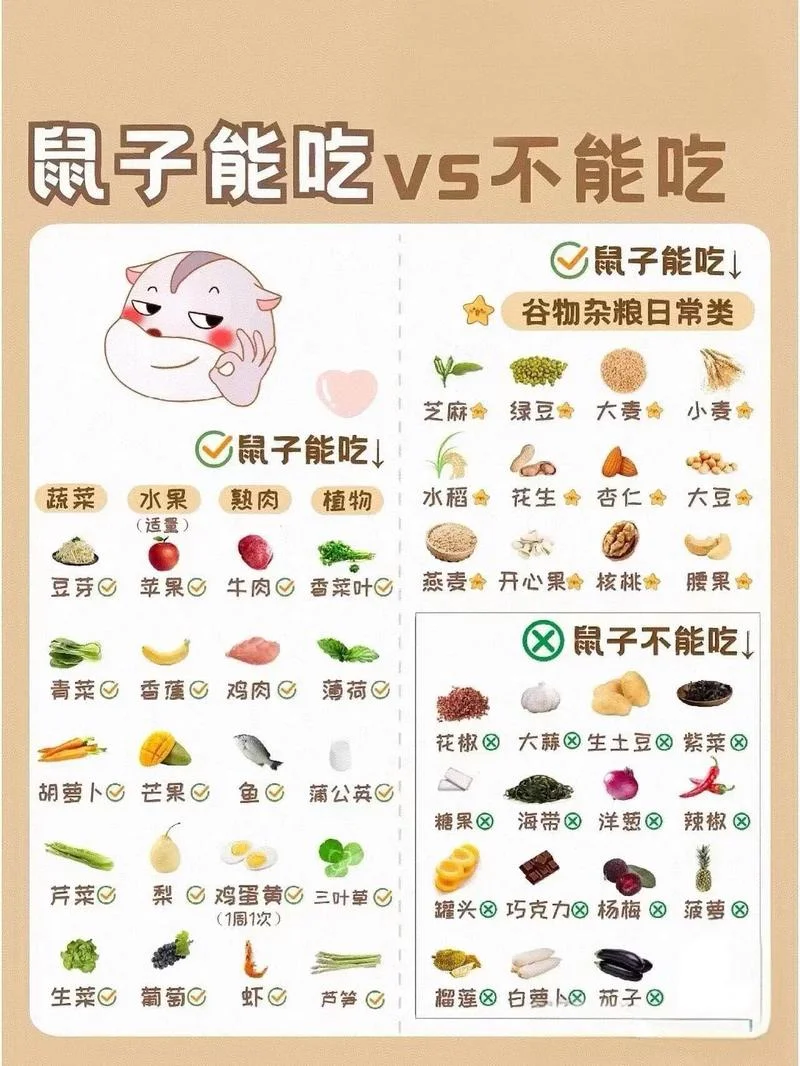 鼠属的今年多大_2