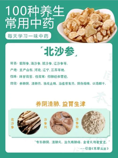 北沙参又叫什么_2
