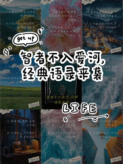 智者不入爱河什么意思下一句_1
