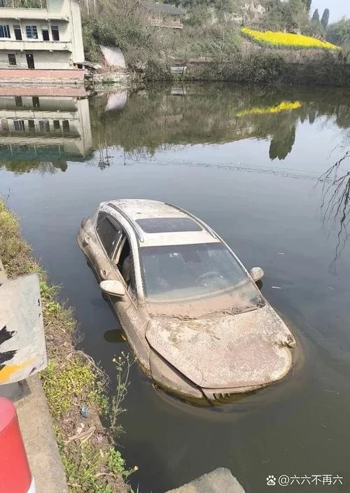 梦见车把水沾在身上了_2