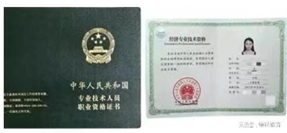陕西省专业技术人员资格证书查询_2