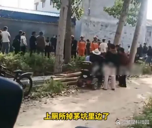 梦到被人坑_2