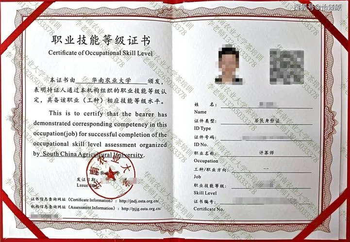 技术资格证书查询_2
