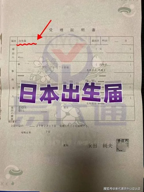 日本大学出愿原件_2