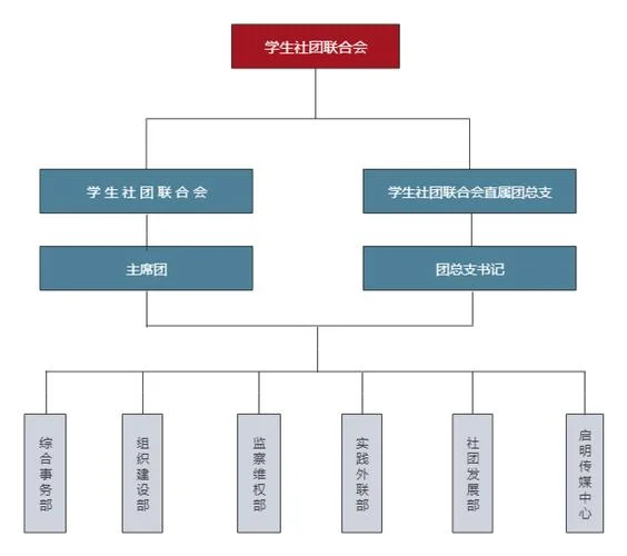 如何查团关系在哪_1