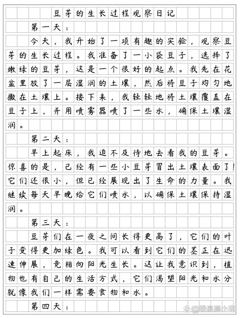 发豆芽感悟50字_2