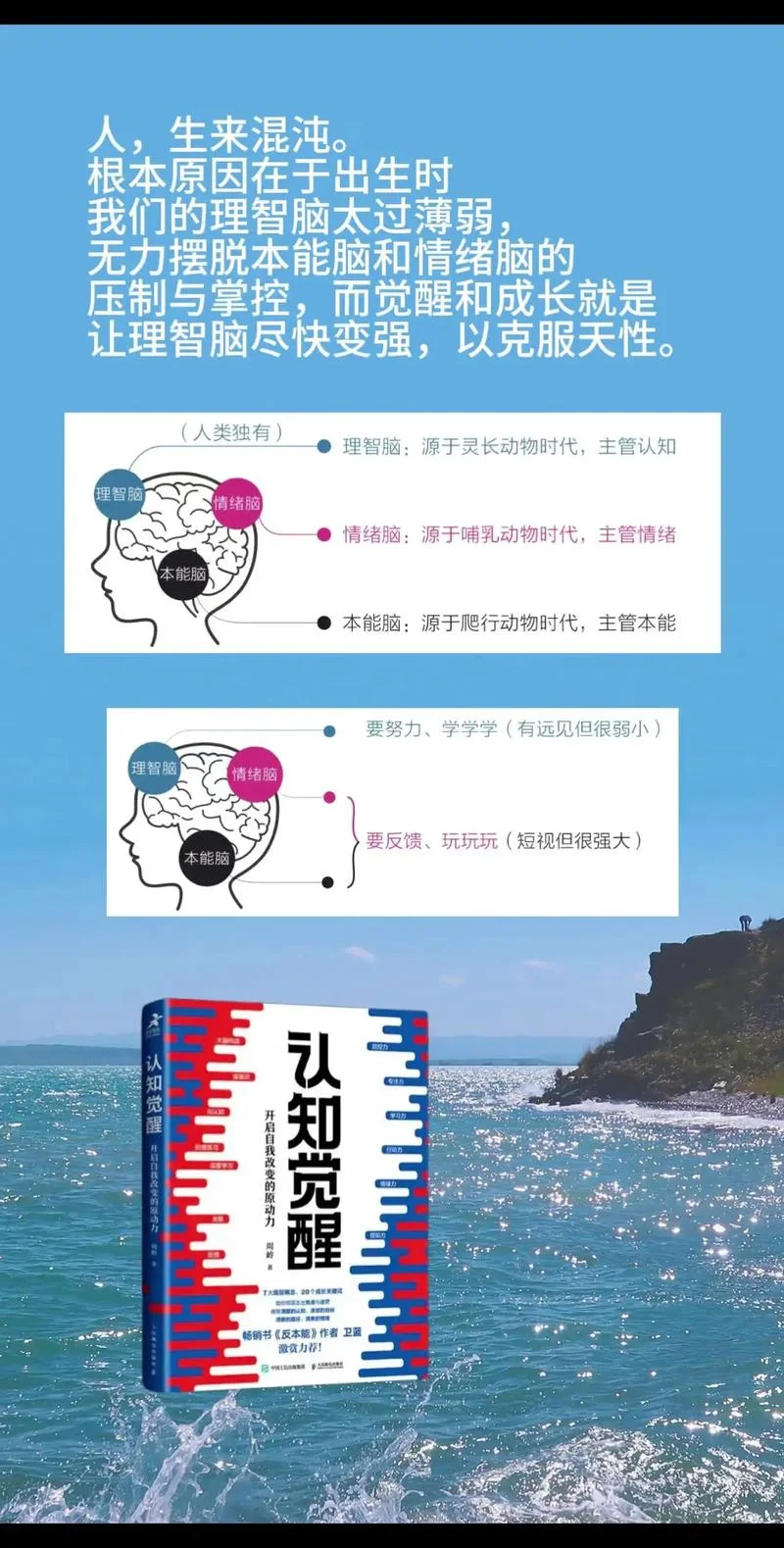 认知觉醒读后感-认知觉醒读后感精选