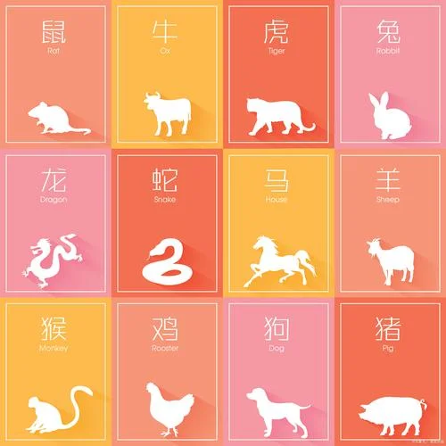 属相猪和什么配_1