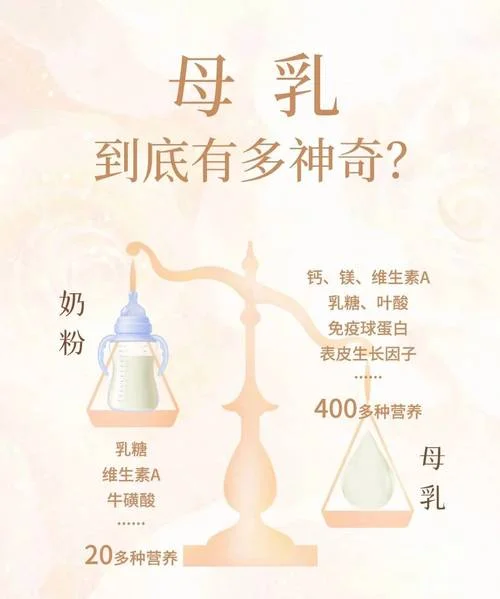 母乳是由什么构成的_1