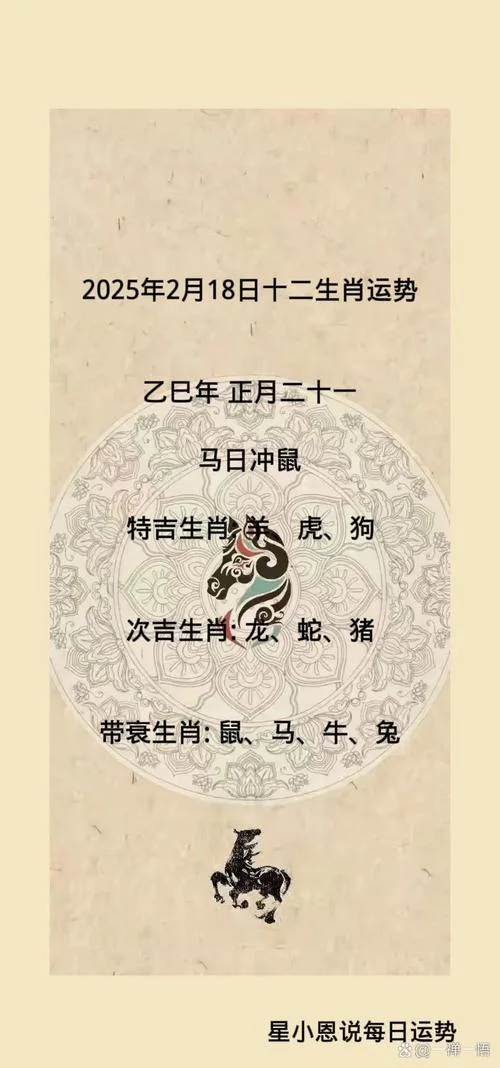 鼠人今天明天运势_1