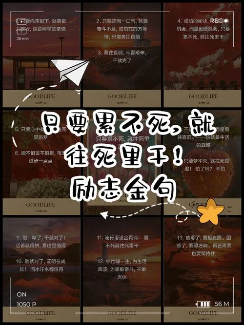 励志句子及解释及感悟_1