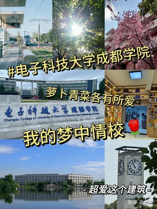 电子科技大学成都学院学费-电大成都学院学费