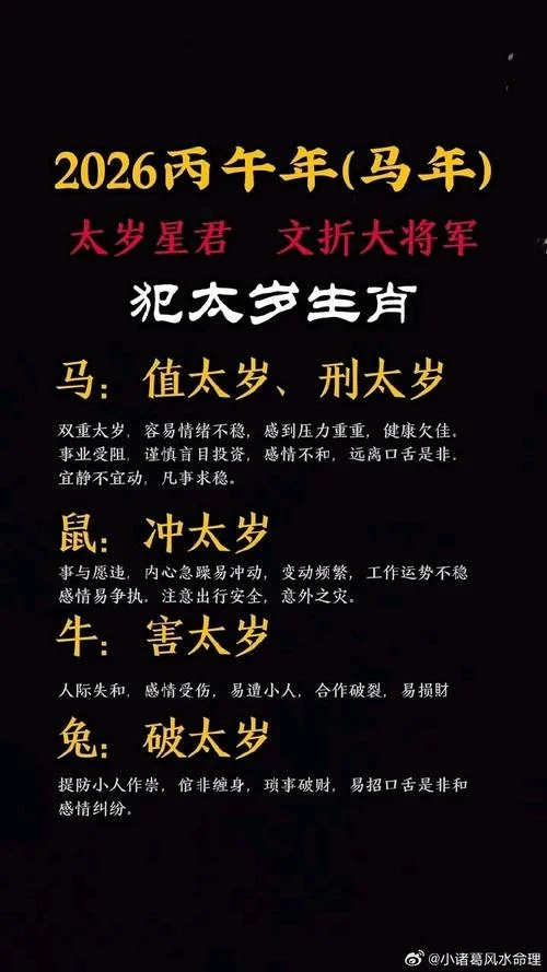 属马今年的运势_2