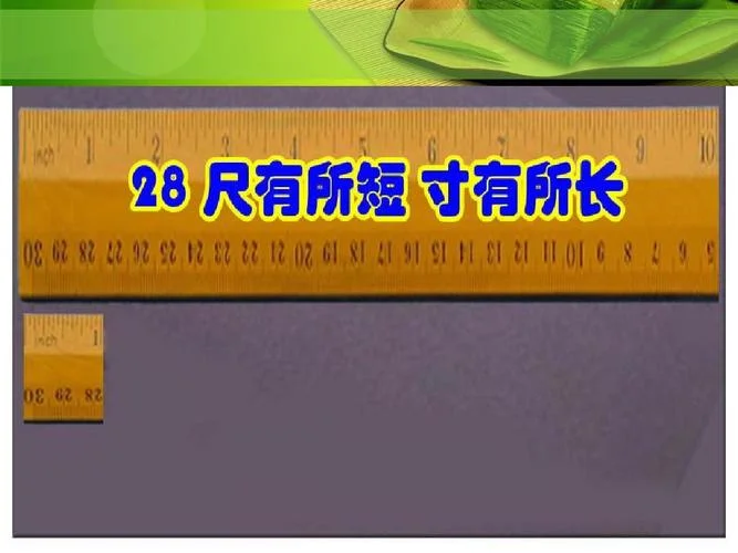 尺有所长寸有所短出处_2