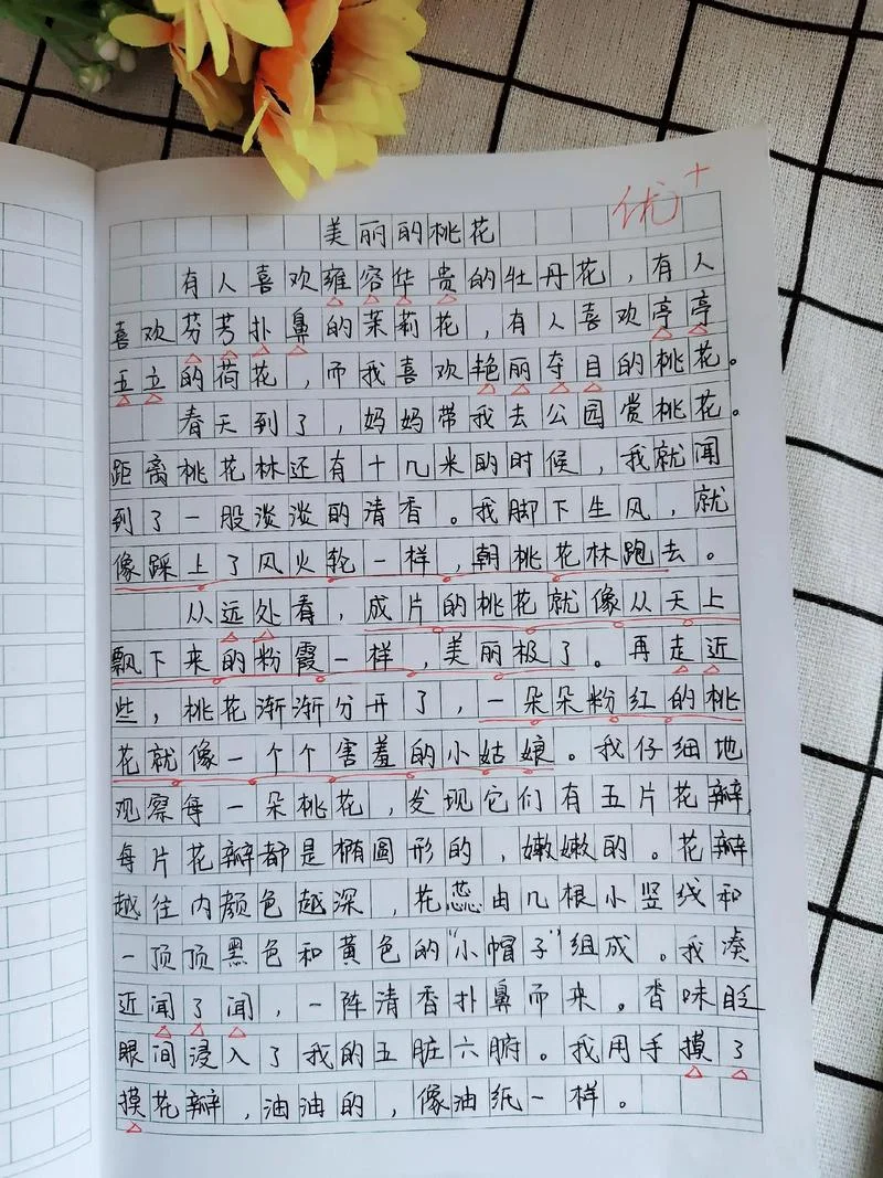 观桃花的感悟_2