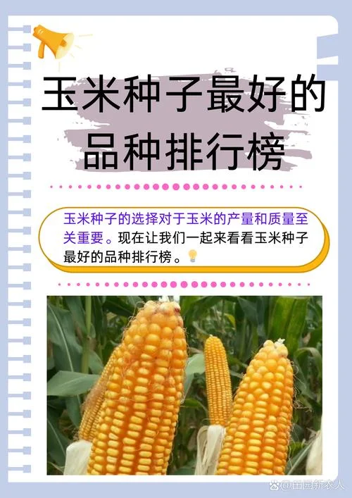 928玉米种子简介-928 玉米种子简介