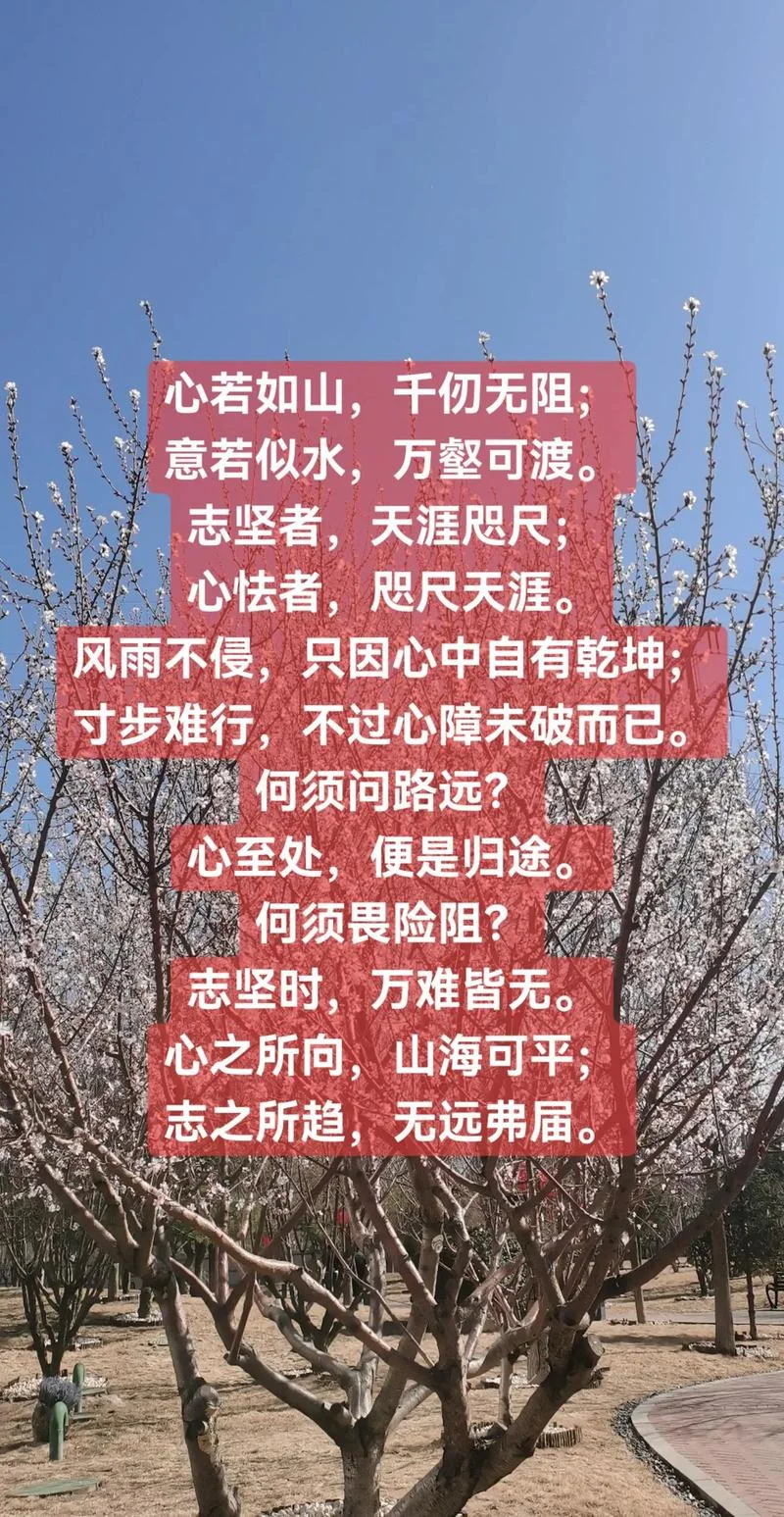 关于坚定理想信念的诗句-坚定理想信念诗