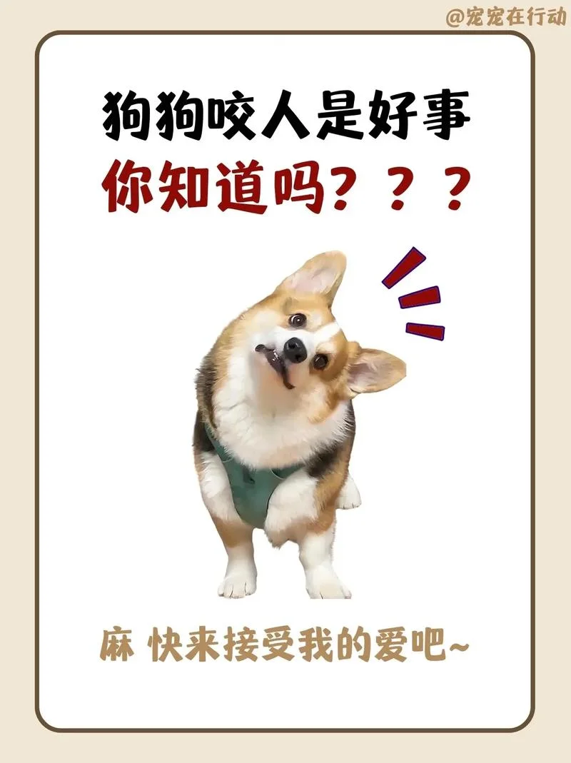 咬人的狗不叫下一句是_2