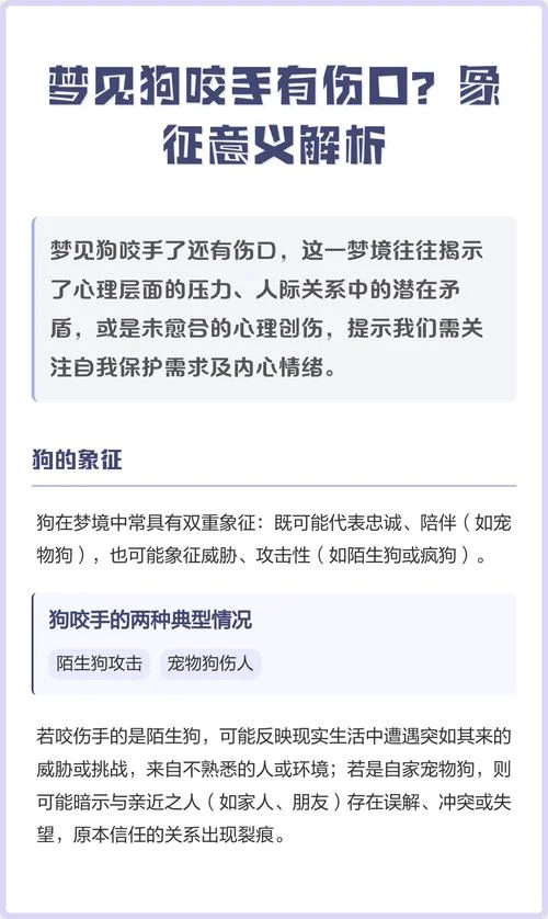 孕妇梦见被很多狗追咬-孕妇梦被狗追咬