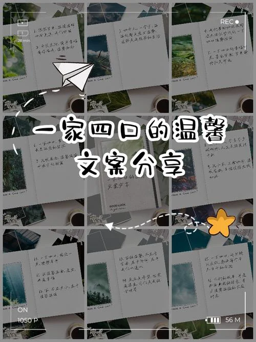 我要一个家文案_1