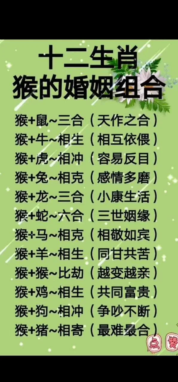 属相猴最佳婚配_2