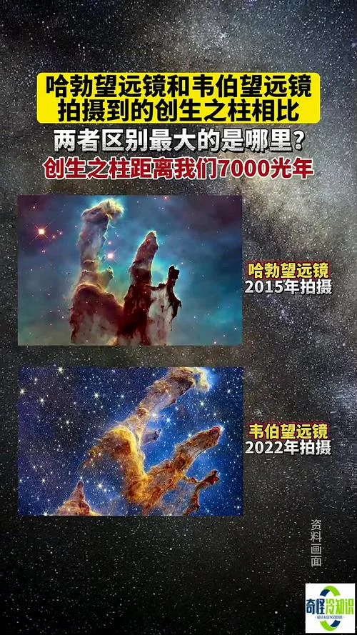 众生之柱介绍-众生之柱释义