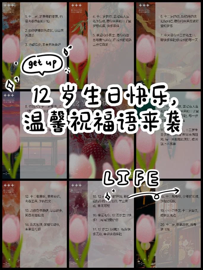 12岁生日文案儿童男孩_1