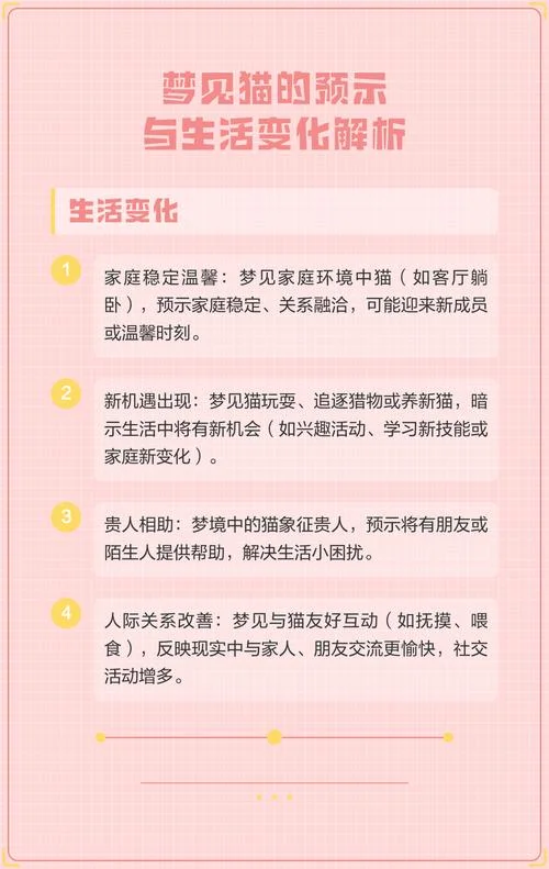 梦见以前养的猫_1