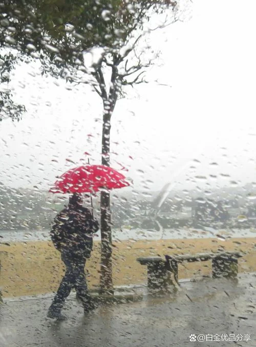 梦见在雨天行走-雨天行走梦境