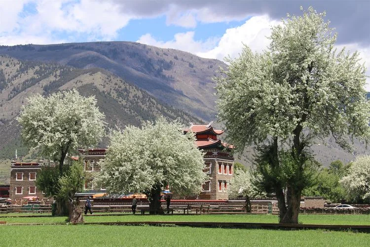 甘孜附近旅游景点推荐_1