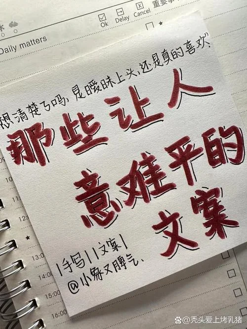 痴狂的文案_1