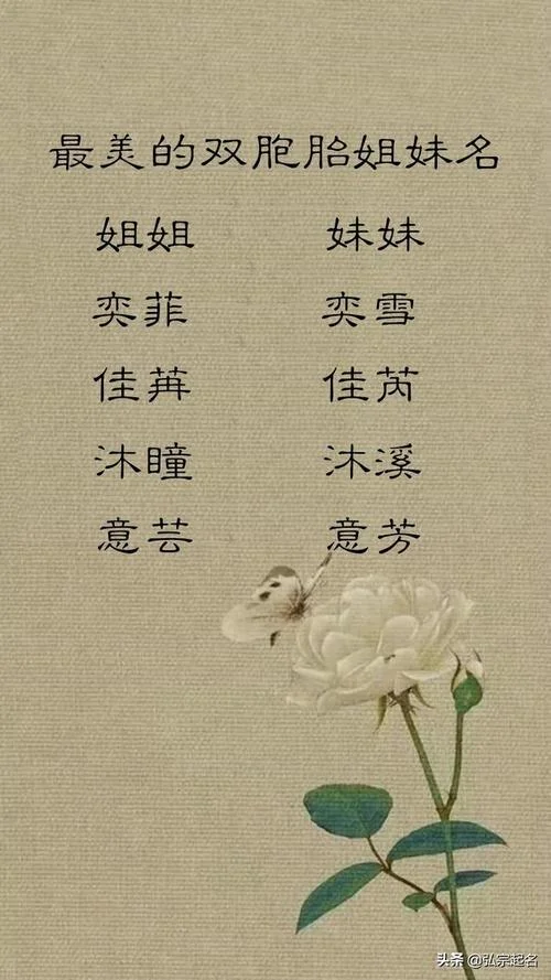 女双胞胎宝宝起名_2