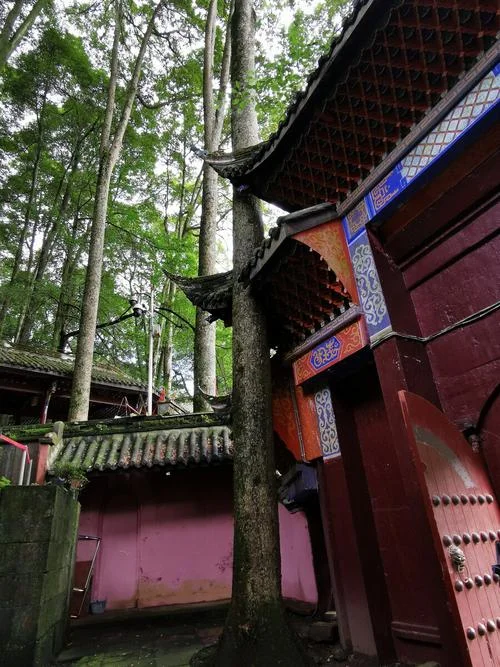 建福宫旅游攻略-