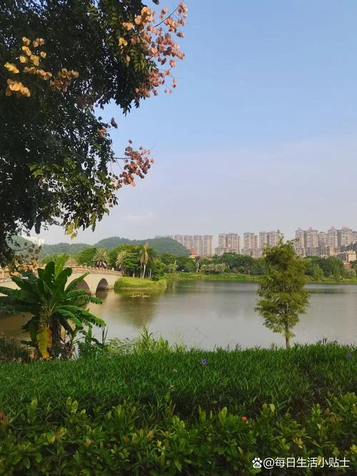 梧州景点有哪些地方-梧州景点有哪些