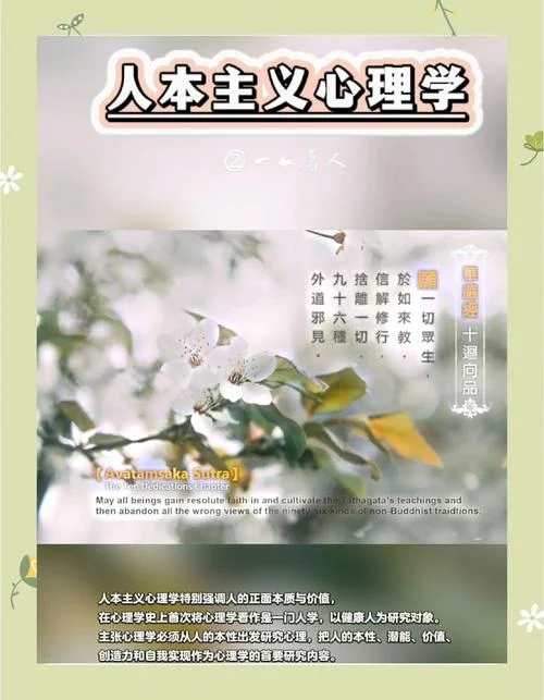 人本主义学派感悟-人本主义学派感悟