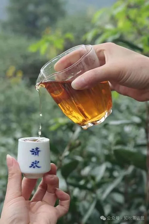 梦见泡茶是什么征兆-梦见泡茶预示待客