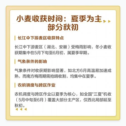 小麦什么时间几月收割_2