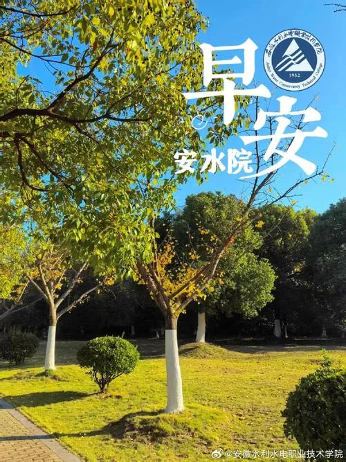 望穿秋水的等待下一句_2