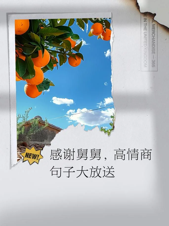 对舅舅的感恩祝福语_1
