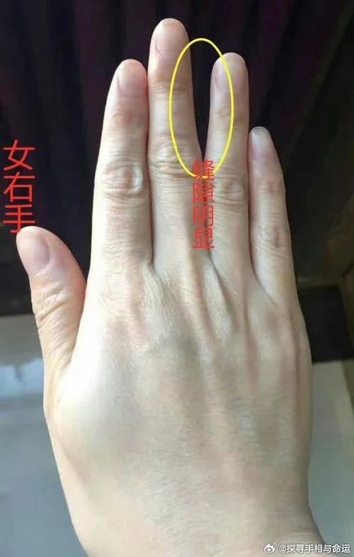 看手相井字纹_1