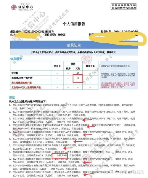 如何查别人的负债情况_2